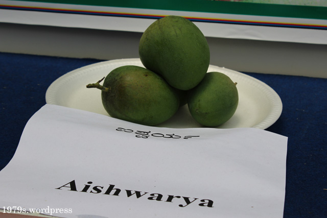 Aishwarya Mango