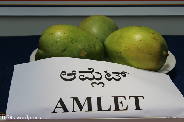 Amlet Mango