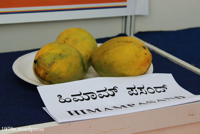 Himam Pasand Mango