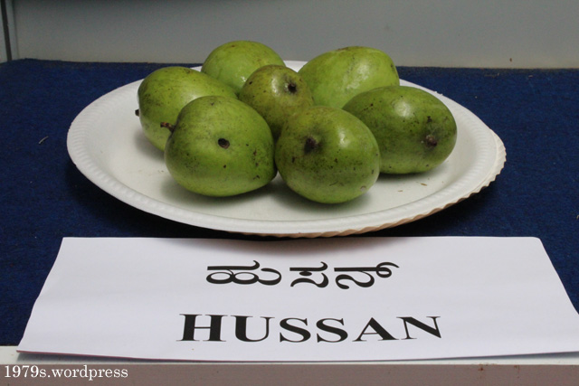 Hussan Mango