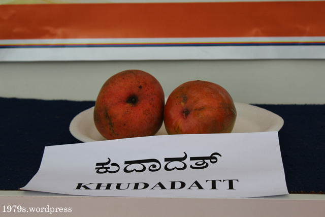 Khudadatt Mango