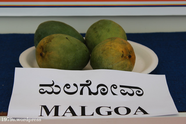 Malgoa Mango