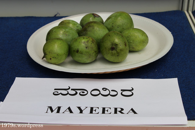 Mayeera Mango