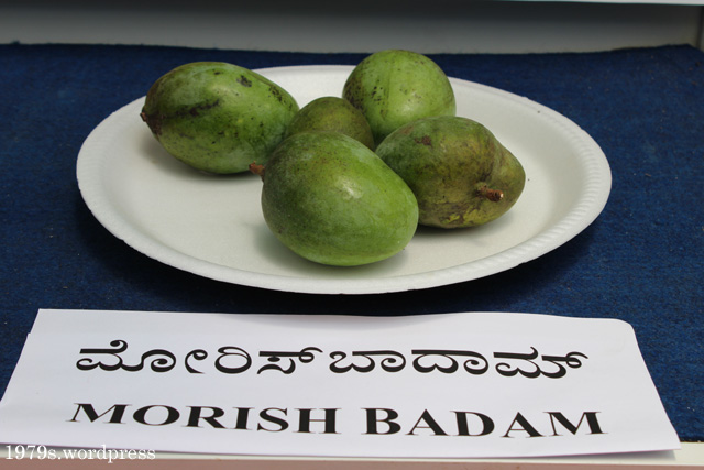 Morish Badam Mango