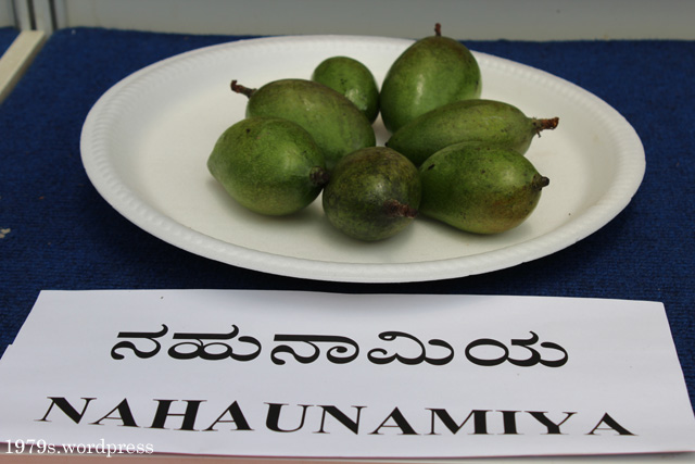 Nahaunamiya Mango